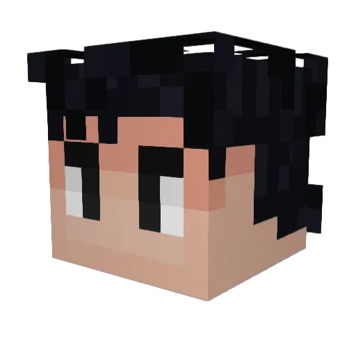 Davinblogs Minecraft avatar head, 3D render