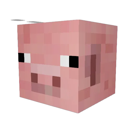 Davinci1407 Minecraft avatar head, 3D render