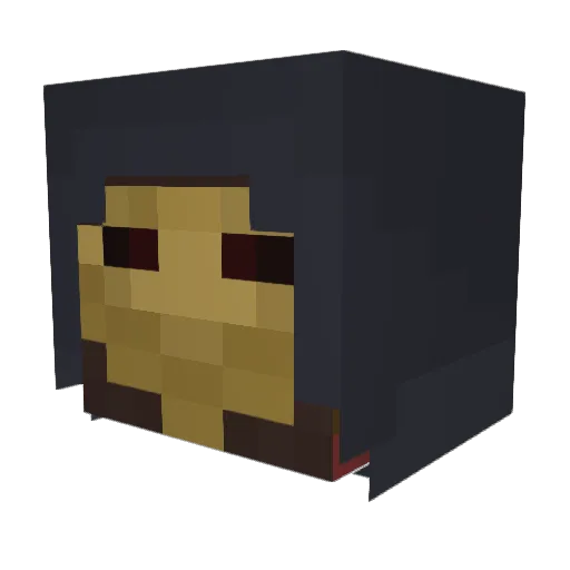 DavisPVPs Minecraft avatar head, 3D render