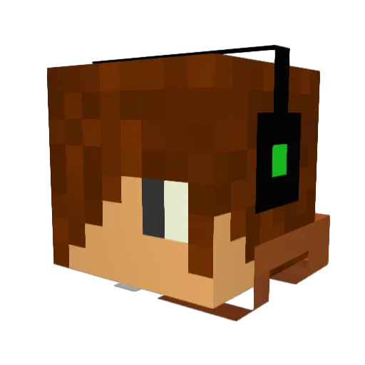 Davison18 Minecraft avatar head, 3D render
