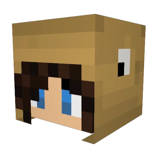 Davix94 Minecraft avatar head, 3D render