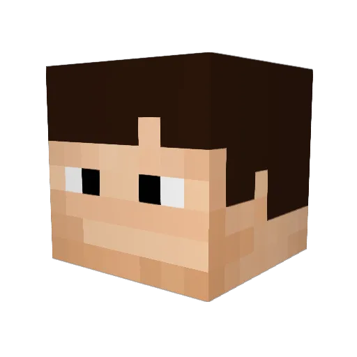 Davizetta11 Minecraft avatar head, 3D render
