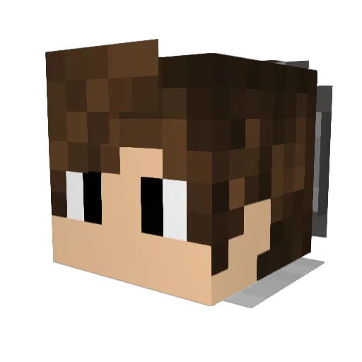 Davizz2812 Minecraft avatar head, 3D render