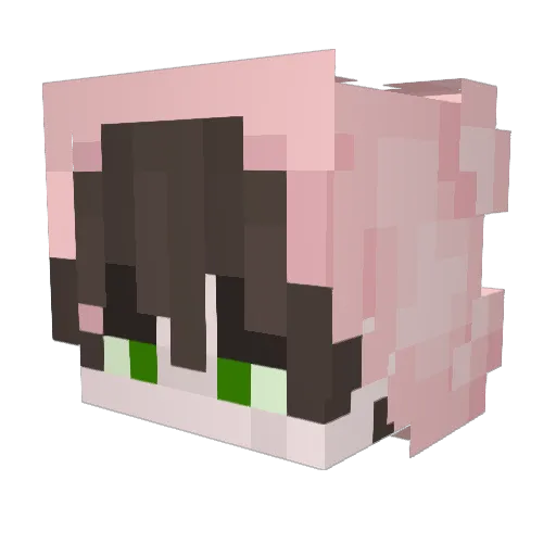 DavokoxHD Minecraft avatar head, 3D render