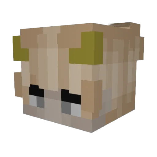 Davour Minecraft avatar head, 3D render