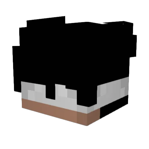 DavyBW Minecraft avatar head, 3D render