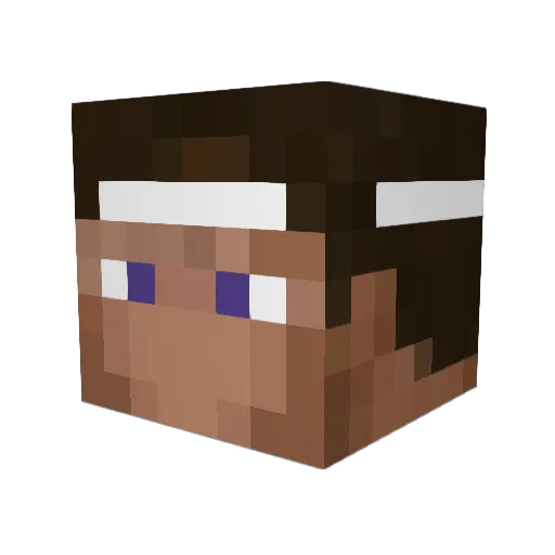 DavyNavy Minecraft avatar head, 3D render