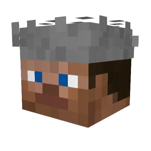 Davy_Crockett1 Minecraft avatar head, 3D render