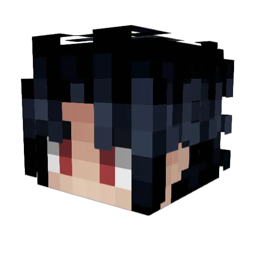 DawSaNa Minecraft avatar head, 3D render