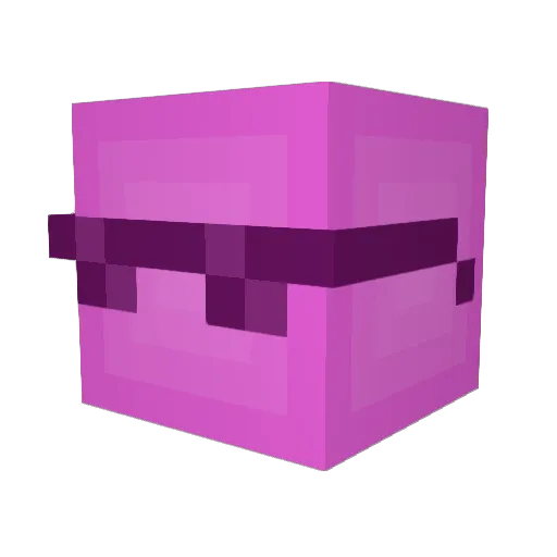 Dawg_z Minecraft avatar head, 3D render