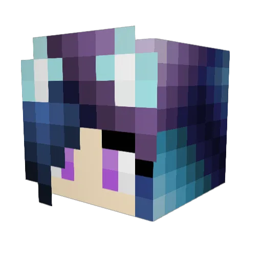 Dawgin Minecraft avatar head, 3D render