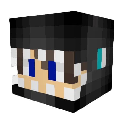 Dawgpile2 Minecraft avatar head, 3D render