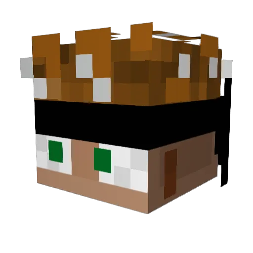 Dawid142 Minecraft avatar head, 3D render
