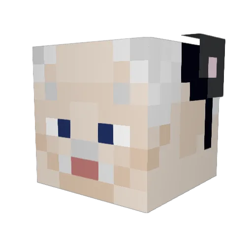 Dawid19521 Minecraft avatar head, 3D render