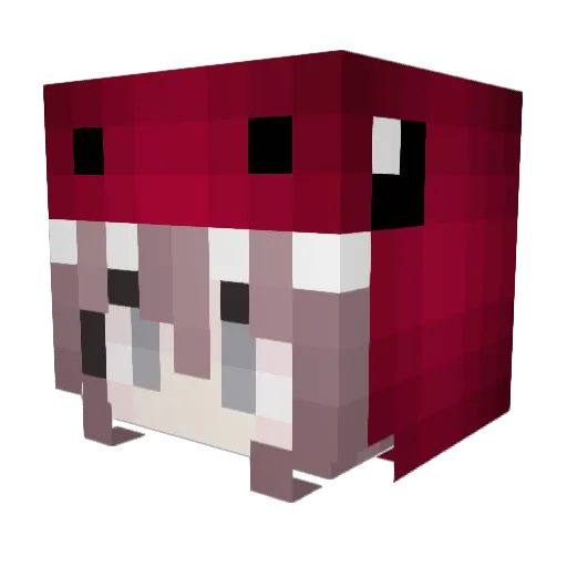 Dawid7171 Minecraft avatar head, 3D render