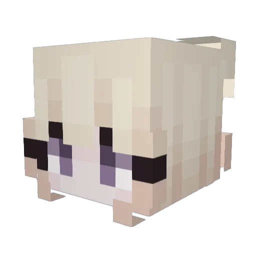 Dawid_3011 Minecraft avatar head, 3D render