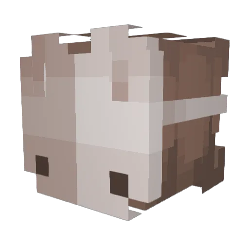 DawnElise Minecraft avatar head, 3D render