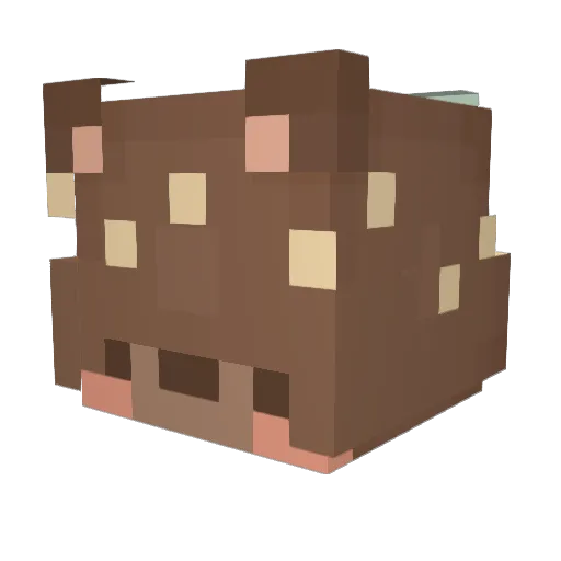 DawnFishhh Minecraft avatar head, 3D render