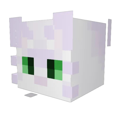 DawnPaws Minecraft avatar head, 3D render