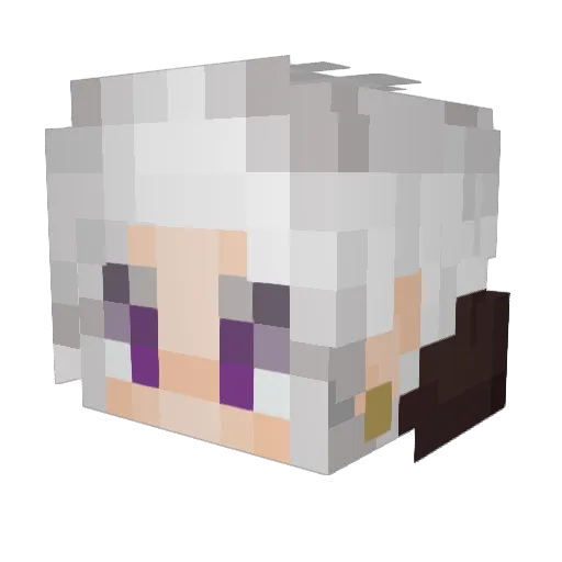 DawnSky_WY Minecraft avatar head, 3D render