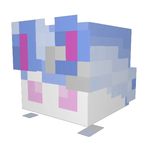 DawnTheSylv Minecraft avatar head, 3D render