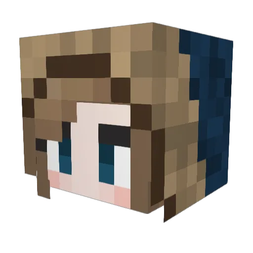 DawnWhisper213 Minecraft avatar head, 3D render