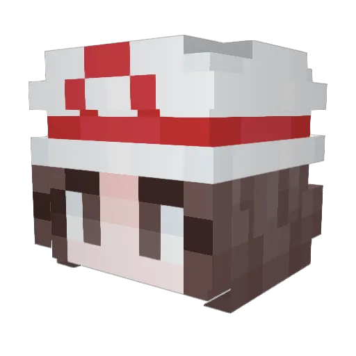 DawnWingz Minecraft avatar head, 3D render