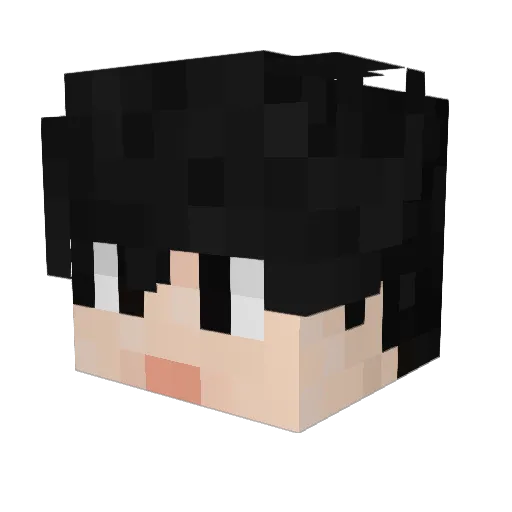 Dawn_Happy Minecraft avatar head, 3D render
