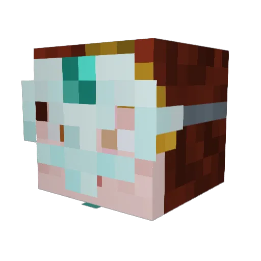Dawne_didit Minecraft avatar head, 3D render