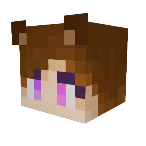 Dawnflower2411 Minecraft avatar head, 3D render