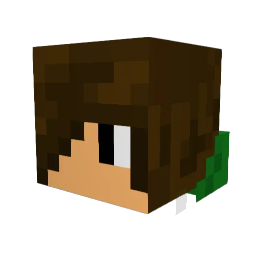 Dawning0912 Minecraft avatar head, 3D render