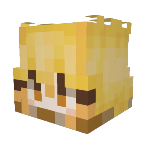 Dawnsadcat Minecraft avatar head, 3D render