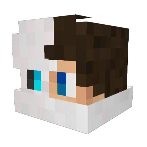 Dawsmeister10 Minecraft avatar head, 3D render