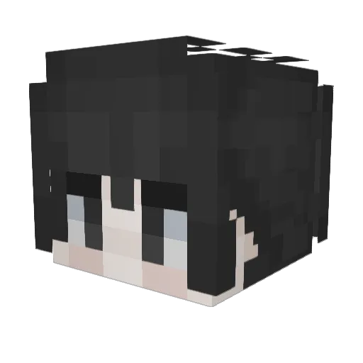 Dawson296 Minecraft avatar head, 3D render