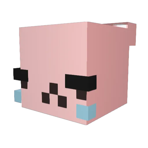 DawsonWillis Minecraft avatar head, 3D render