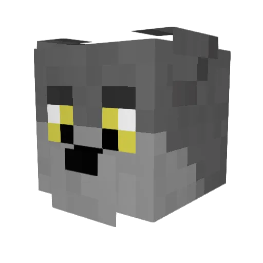 Dawsonnn Minecraft avatar head, 3D render