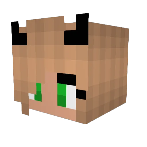 Dawulya Minecraft avatar head, 3D render