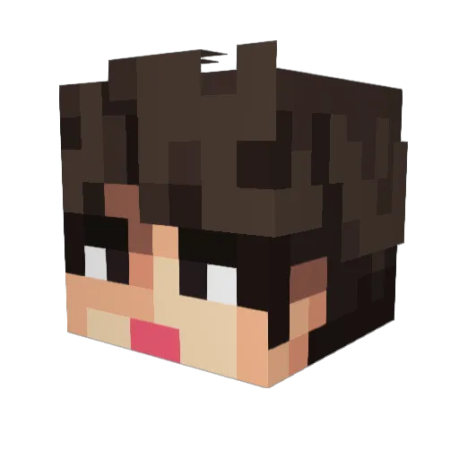 DaxKS1 Minecraft avatar head, 3D render