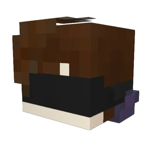 Daxodox Minecraft avatar head, 3D render