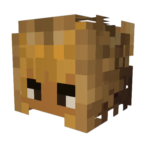 Day4152 Minecraft avatar head, 3D render