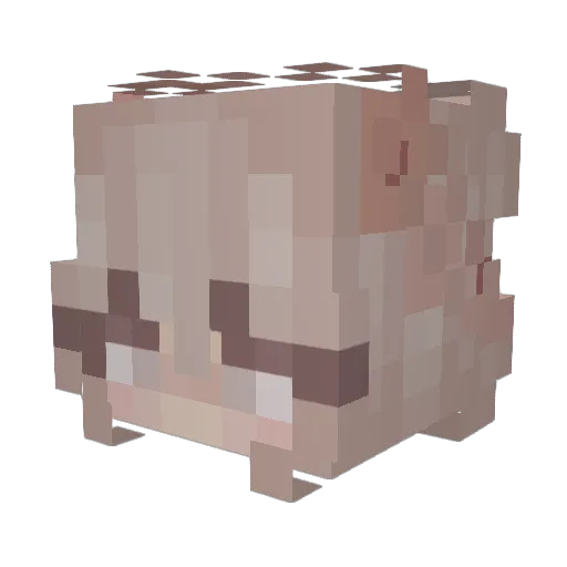 DayDancer64 Minecraft avatar head, 3D render