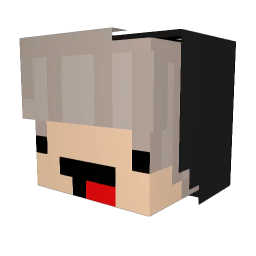 DayDreamerSaleem Minecraft avatar head, 3D render