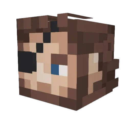 DayMan462 Minecraft avatar head, 3D render