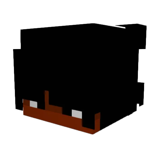DayPlayz20 Minecraft avatar head, 3D render