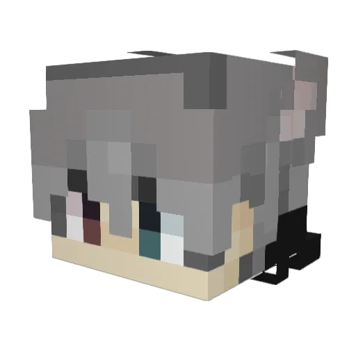 DaySakura Minecraft avatar head, 3D render