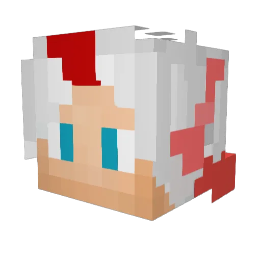 Dayan911 Minecraft avatar head, 3D render