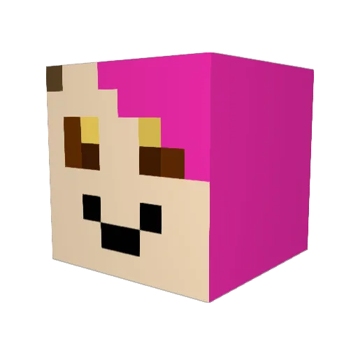 Daydigger Minecraft avatar head, 3D render