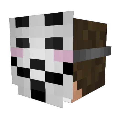 Dayflerence Minecraft avatar head, 3D render