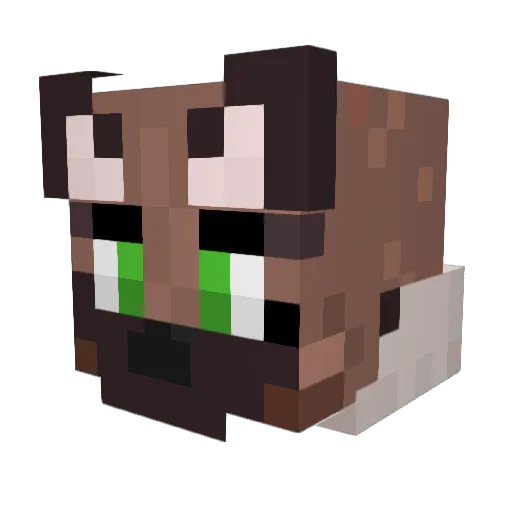 Daylen__ Minecraft avatar head, 3D render