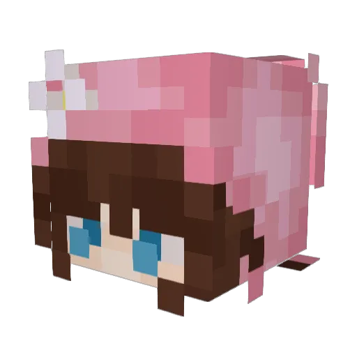 DaylightDreamer Minecraft avatar head, 3D render